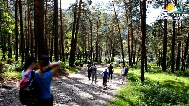 Ласковый Алтай с S-travel, отличные автобусные туры из Томска и Новосибирска. смотреть онлайн