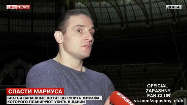 Братья Запашные готовы выкупить жирафа Мариуса. Репортаж LIFENEWS