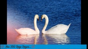 ДУШЕВНАЯ ПЕСНЯ О ЛЮБВИ! Мы Долгое эхо Друг Друга...    Алсу и Лев Лещенко