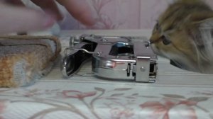 Как я делал полки для кошек