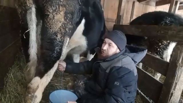 Дом из опилок обыватель не строит. Чудеса стереотипов. смотреть онлайн