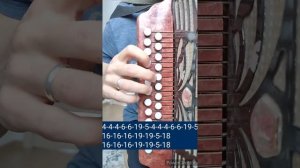 МАРИЙСКАЯ ПЕСНЯ - разбор на гармони цифрами. Карим Муратов