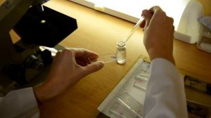 Микроскопия мазка с использованием иммерсионной системы