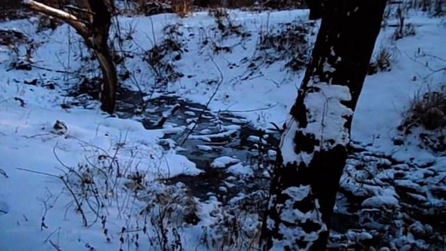 САМВЕЛ АДАМЯН ПОСЛАЛ МАМКИНЫХ ПОДРУГ НА... ЧАЙ С ОГУРЦАМИ ДЮЖЕ ВКУСНО