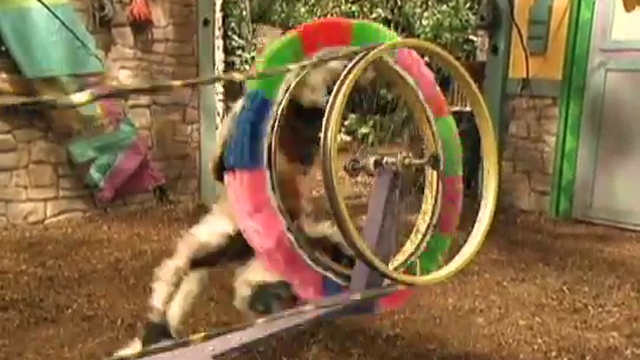 Zoboomafoo-116---Itchy-(Full-Episode) смотреть онлайн