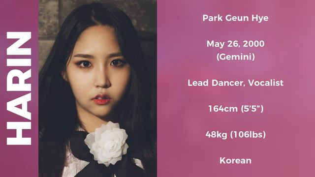 Pink Fantasy (핑크판타지) Members Profile (Birth Names, Birth Dates, Positions etc..) [Get To Know K-Pop смотреть онлайн