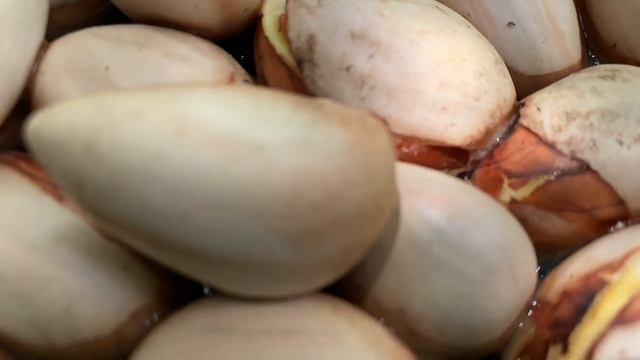 Growing JACKFRUIT = ARTOCARPUS HETEROPHYLLUS (seed-small tree) смотреть онлайн