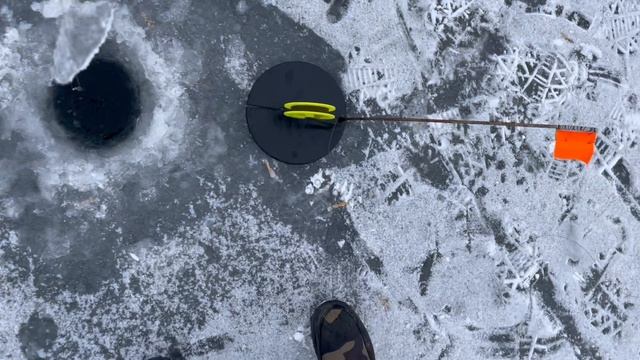 06-12-2023 смотреть онлайн