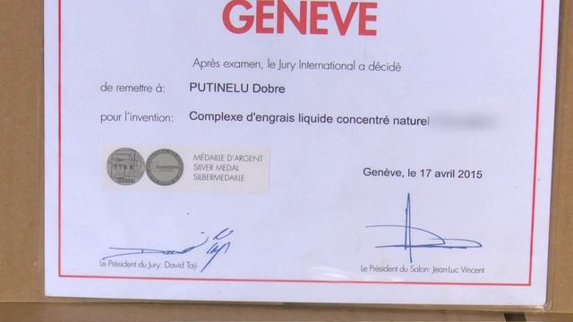 În grădina Danei: Despre îngrijirea celei mai iubite plante de apartament - Dracaena (@TVR1) смотреть онлайн