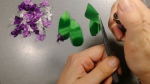 Сирень на георгиевской ленточке