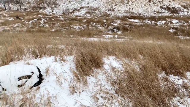 Земельный участок 15 сот. Красноярск, ул. Кодинская