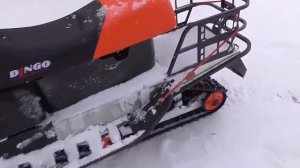 Снегоход ДИНГО Небольшой обзор