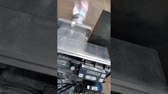 setting burner type wg30 januari 2022 смотреть онлайн