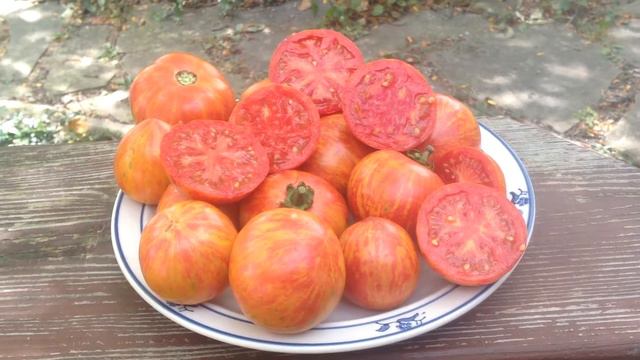 Dragon's Eye Tomato A Tomato Grower's Dream!! смотреть онлайн