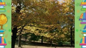 Школа Шишкиного Леса. Природоведение. Разноцветная осень