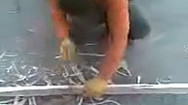В каждой строчке смотреть онлайн