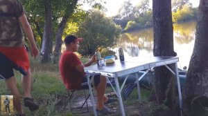 Маленький пруд с большими карпами. Ловля карпа на горох летом