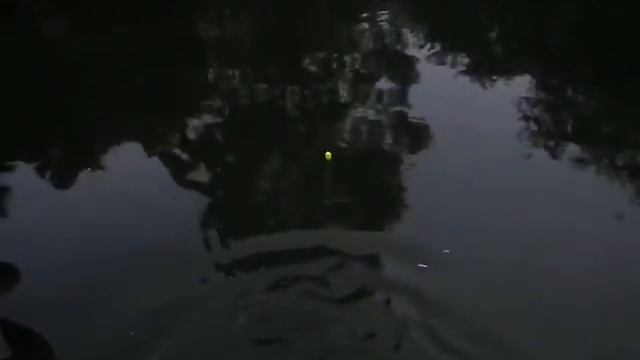 Fujifilm FinePix HS10 test 35 смотреть онлайн