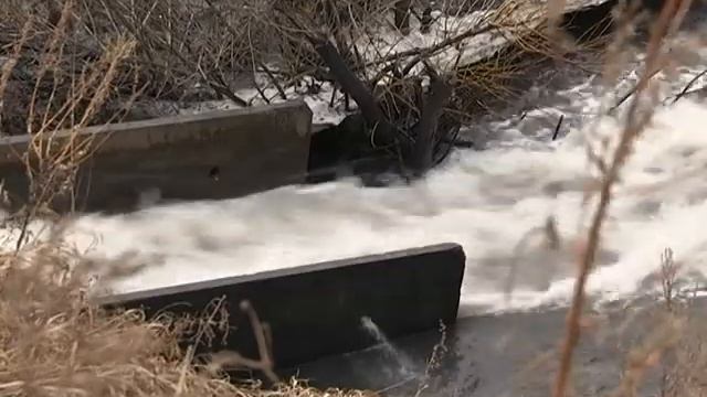 Экологи ищут источники загрязнения Абы смотреть онлайн