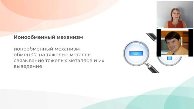 Пыльца Сосны, Бамбук Жизни и Гель Ламинарии - Три СУПЕРФУДА смотреть онлайн