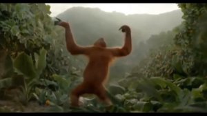 Орангутан танцует