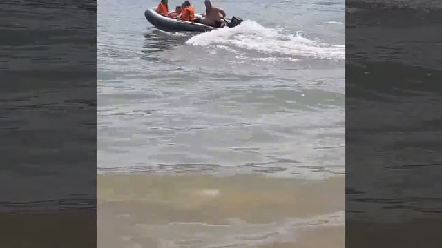 Лодка сапсан посейдон с мотором сузуки 15 л.с. смотреть онлайн
