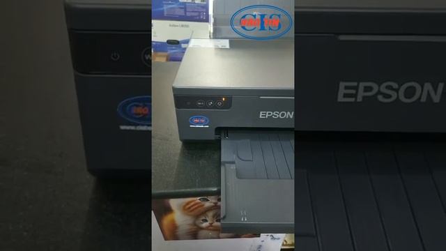 #short kit reset counter Epson L8050 смотреть онлайн