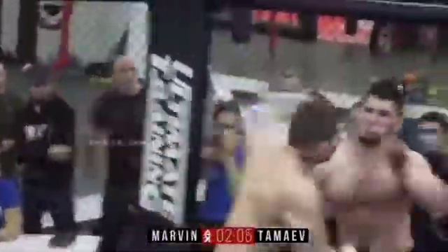 Marvin Vs Tamaev boy💪🏻💪🏻сильный бой смотреть онлайн