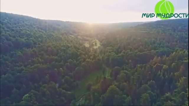 Как стать мудрым и хитрым по жизни и быть а не казаться!? смотреть онлайн