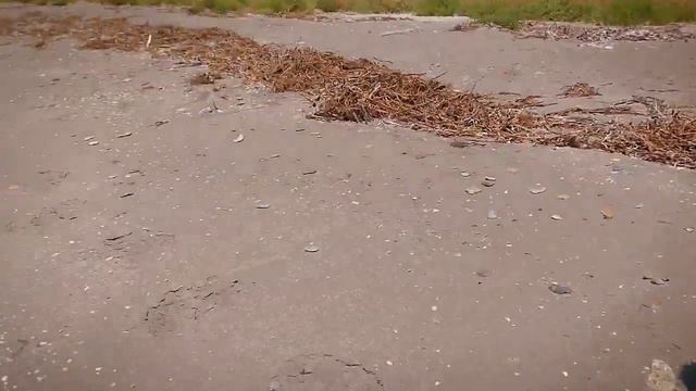 МЫ НЕ ОДНИ.. ПОПАЛИ НА ЗАБРОШЕННЫЙ ОСТРОВ! ОТКОПАЛИ СУНДУК С .. АНОМАЛЬНАЯ ЗОНА ДЛЯ ПТИЦ МИСТИКА! смотреть онлайн