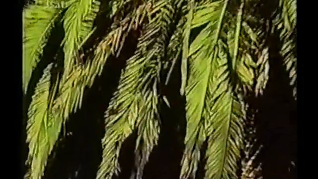 Damo Suzuki - Over The Air (Doku 1999) смотреть онлайн