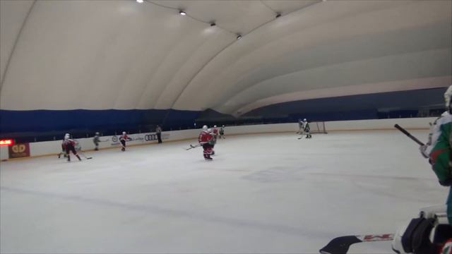 Лигры-Сборная Новосибирска смотреть онлайн