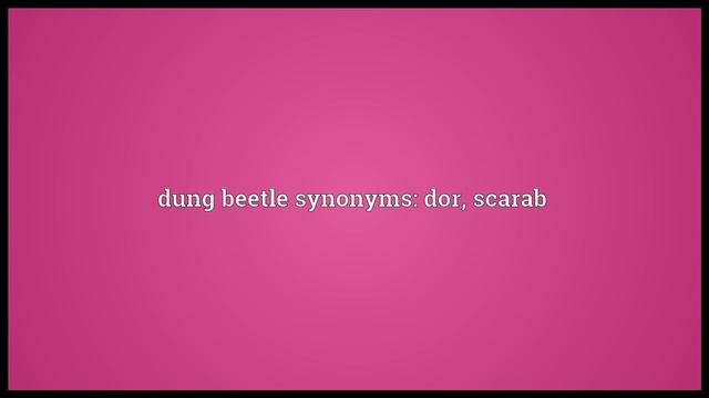 Dung beetle Meaning смотреть онлайн