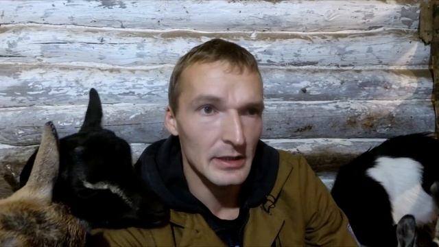 Про сбыт козьего молока смотреть онлайн