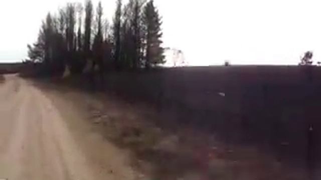 Выжженная земля. Пожары, которых могло не быть. смотреть онлайн