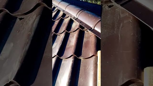 На храм упала вековая сосна во время богослужения. смотреть онлайн