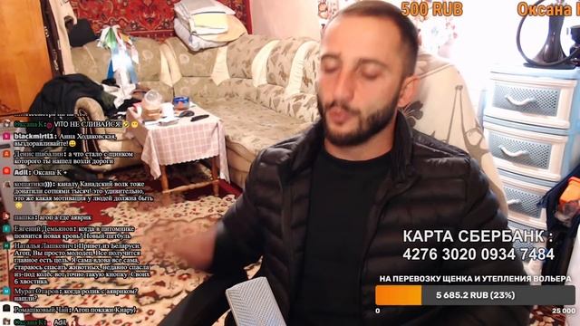 Вы хотите знать, что случилось с Аявриком?