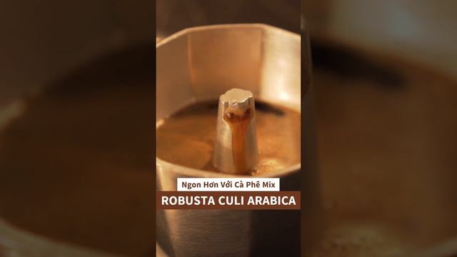 Ấm cà phê Moka Pot 300ml - Trải nghiệm đậm đà hơn với cà phê rang mộc Mix Robusta Culi Arabica смотреть онлайн