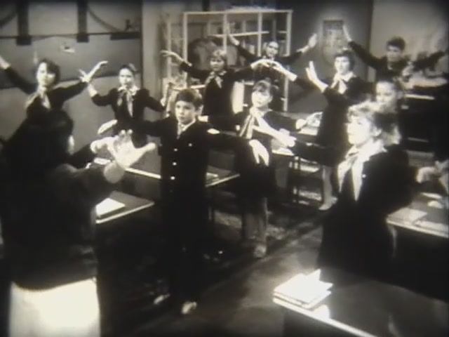 Иностранные языки. Урок иностранного языка в 5 классе