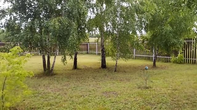 Плитка в бане) У Мишки новая комната) Бультерьер в парнике смотреть онлайн