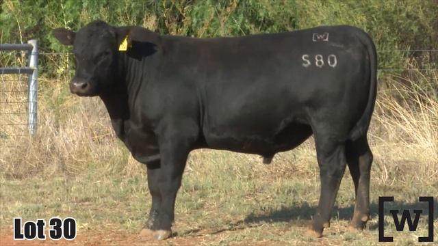 Lot 30 Wrigley JVC21S80 смотреть онлайн