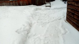 Чем занимаются в деревне