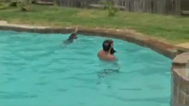 Kyle and Justin Roberts doing cannonballs смотреть онлайн