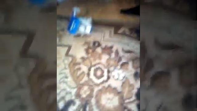 Дед мороз домой летом не придет он ждёт зимы и грустно вздыхает но наступил но но новый год. смотреть онлайн