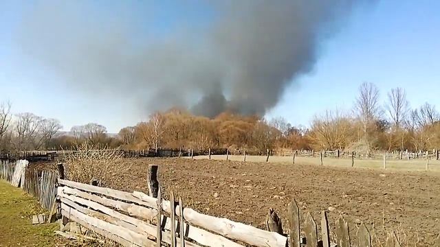 Пожар. ст. Рулитино. часть третья (горит болото) смотреть онлайн