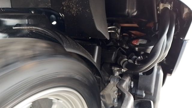 Honda Giorno NEW последняя модель смотреть онлайн