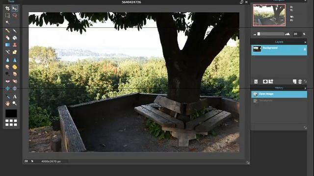 Pixlr Online picture editor using Menus and layers смотреть онлайн