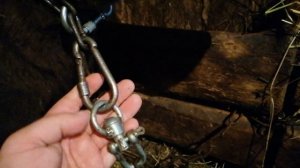 Как привязать бычков.