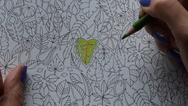 КАК РАСКРАСИТЬ ЛИСТЬЯ в раскраске антистресс/15 цветовых сочетаний смотреть онлайн
