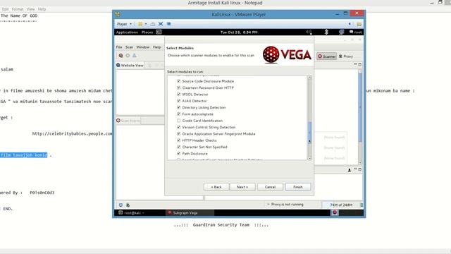 VEGA Scanner Kali Linux смотреть онлайн